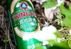 强爽啤酒爆料视频大全,揭秘啤酒界的秘密与传奇